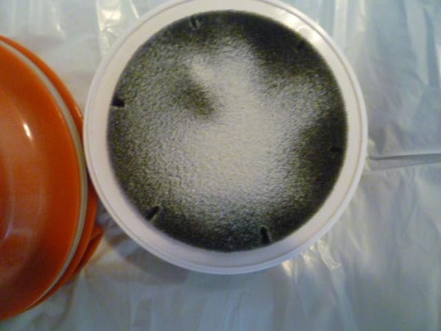 Mattress Vacuum Cleaner : UV Bed Vacuum Cleaner 500W 13Kpa Strong Suction, High Heating Tech, Deep Cleaning Bed Vacuum for Sofa/Bed/Fabric Surface(Corded,120V) photo review