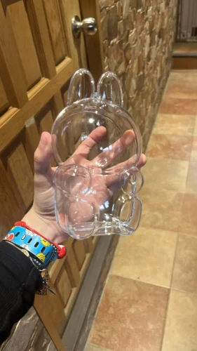 Protective Acrylic Case For Labubu V1/v2/v3  Transparent Portable Organizer Box Mystery Box Storage Case Display Bag photo review