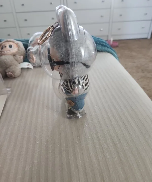 Protective Acrylic Case For Labubu V1/v2/v3  Transparent Portable Organizer Box Mystery Box Storage Case Display Bag photo review