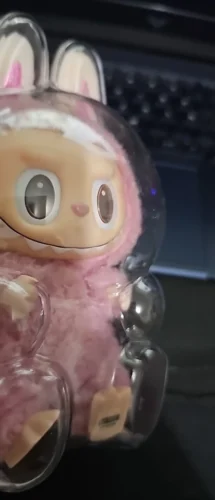 Protective Acrylic Case For Labubu V1/v2/v3  Transparent Portable Organizer Box Mystery Box Storage Case Display Bag photo review