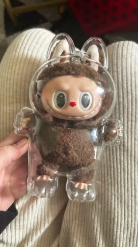 Protective Acrylic Case For Labubu V1/v2/v3  Transparent Portable Organizer Box Mystery Box Storage Case Display Bag photo review