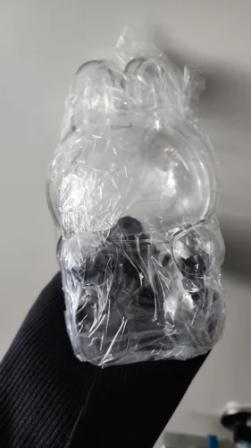 Protective Acrylic Case For Labubu V1/v2/v3  Transparent Portable Organizer Box Mystery Box Storage Case Display Bag photo review