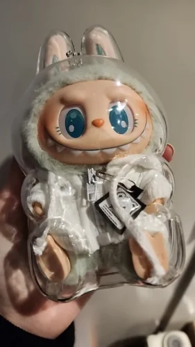 Protective Acrylic Case For Labubu V1/v2/v3  Transparent Portable Organizer Box Mystery Box Storage Case Display Bag photo review