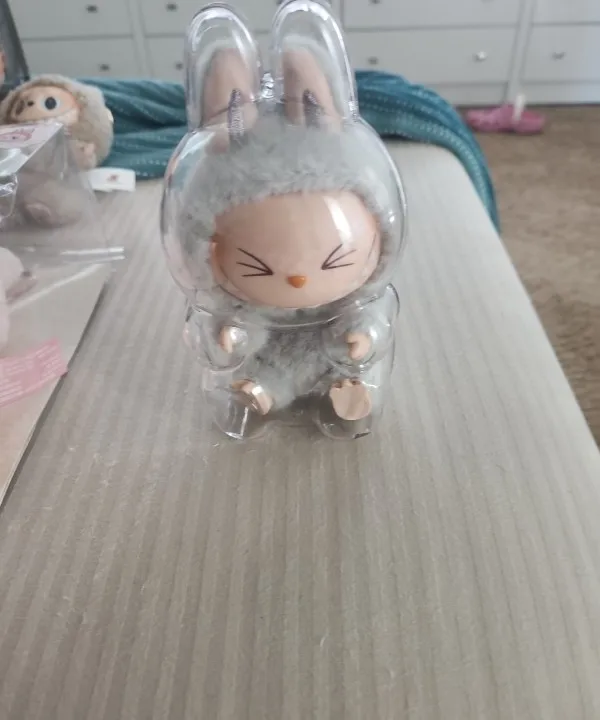 Protective Acrylic Case For Labubu V1/v2/v3  Transparent Portable Organizer Box Mystery Box Storage Case Display Bag photo review