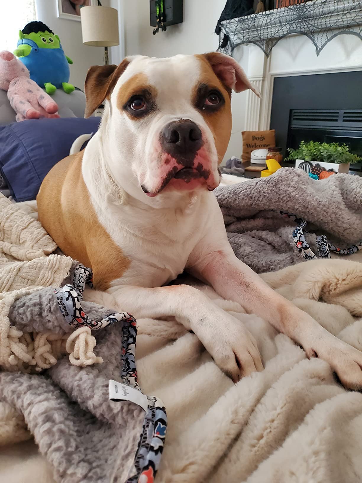 Intex 64447ED Dura-Beam Deluxe Ultra Plush Air Mattress with Headboard: Fiber-Tech – Queen Size – Built-in Electric Pump – 18in Bed Height – 600lb Weight Capacity photo review