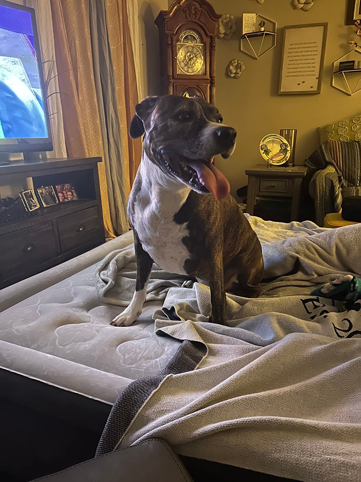 Intex 64447ED Dura-Beam Deluxe Ultra Plush Air Mattress with Headboard: Fiber-Tech – Queen Size – Built-in Electric Pump – 18in Bed Height – 600lb Weight Capacity photo review