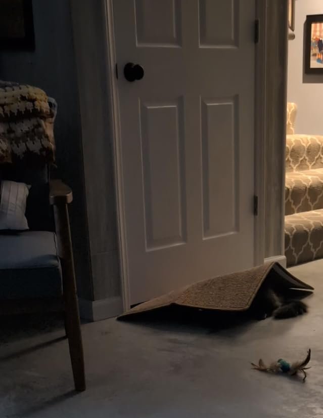 FUKUMARU Cat Scratcher Mat. 23.6 X 15.7 Inch Natural Sisal Cat Scratch Mats. Horizontal Cat Floor Scratching Pad Rug with Sticky Tapes. Protect Couch and Carpets photo review