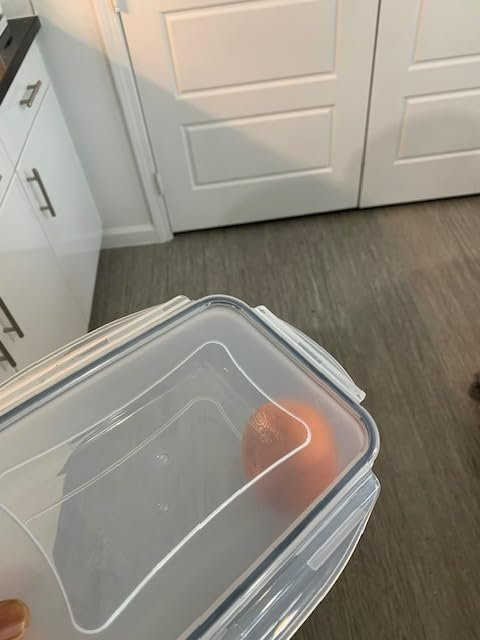 JSCARES 40 PCS Food Storage Containers with Lids Airtight (20 Lids &20 Containers) - Leakproof Meal-Prep Containers for Kitchen Storage Reusable Plastic Microwave/Dishwasher Safe with Labels & Pen photo review