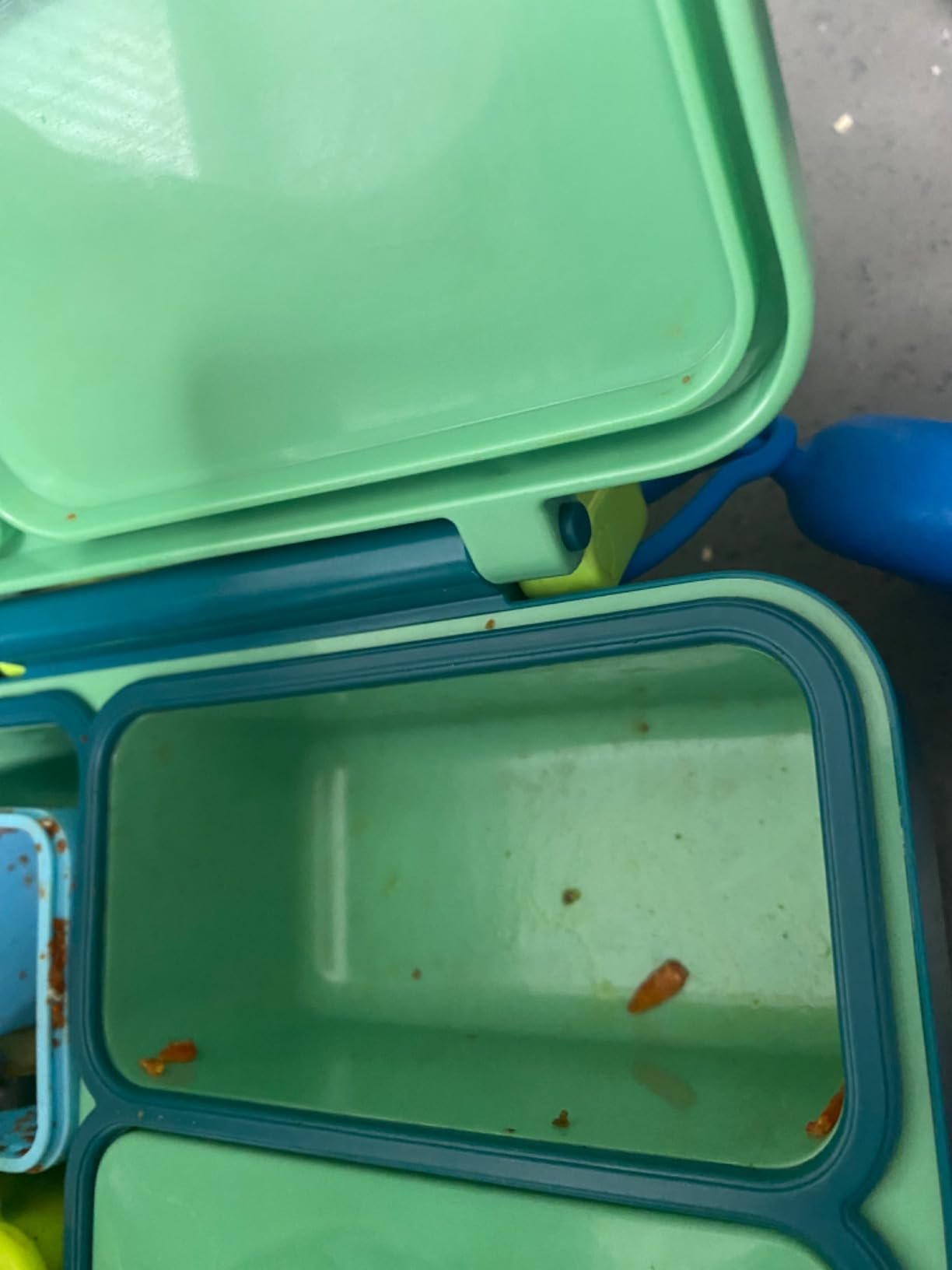 Omie OmieBox Bento Box for Kids - Insulated Lunch Box with Leak Proof Food Jar - 3 Compartments. 2 Temperature Zones - (Meadow) photo review