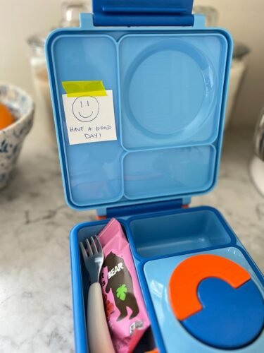 Omie OmieBox Bento Box for Kids - Insulated Lunch Box with Leak Proof Food Jar - 3 Compartments. 2 Temperature Zones - (Meadow) photo review