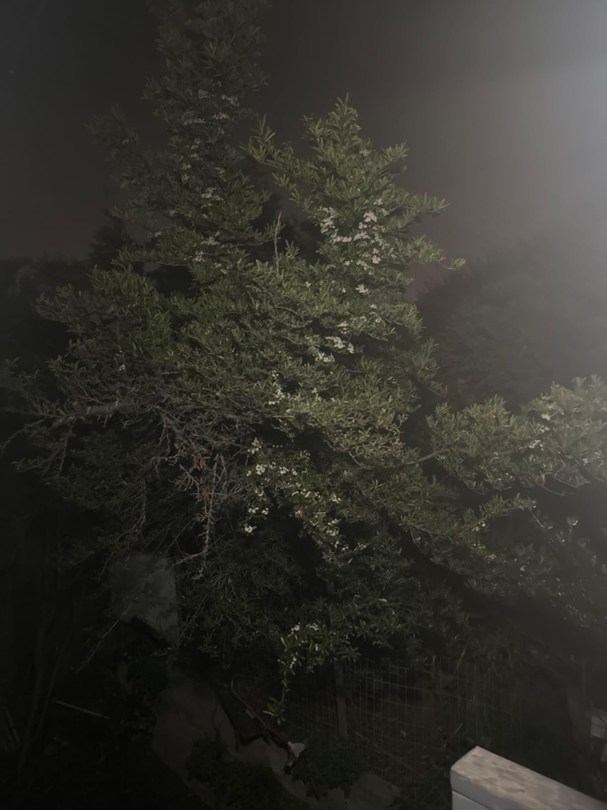 Tuffenough Solar Outdoor Lights 2500LM 210 LED Security Lights with Remote Control.3 Heads Motion Sensor Lights. IP65 Waterproof.270° Wide Angle Flood Wall Lights with 3 Modes(2 Packs) photo review