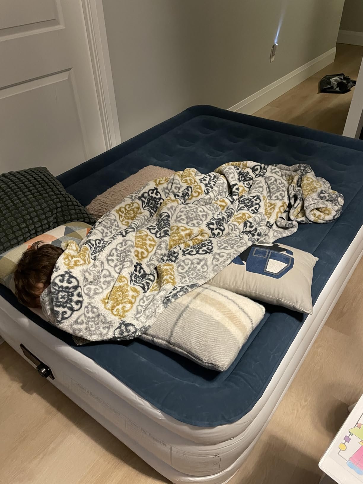 Queen Air Mattress with Built-in Pump. 18 Raised Blow Up Mattress. 800 lbs Max Honeycomb Air Bed. 48Hr Leak-Proof Test. 3min Inflatable Mattress for Home. Guests. Camping. Colchones inflables photo review