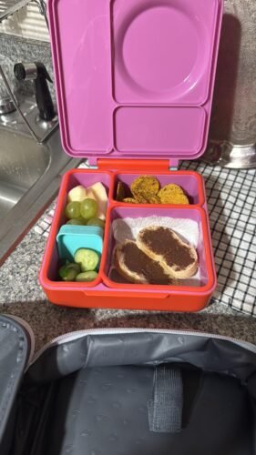 Omie OmieBox Bento Box for Kids - Insulated Lunch Box with Leak Proof Food Jar - 3 Compartments. 2 Temperature Zones - (Meadow) photo review