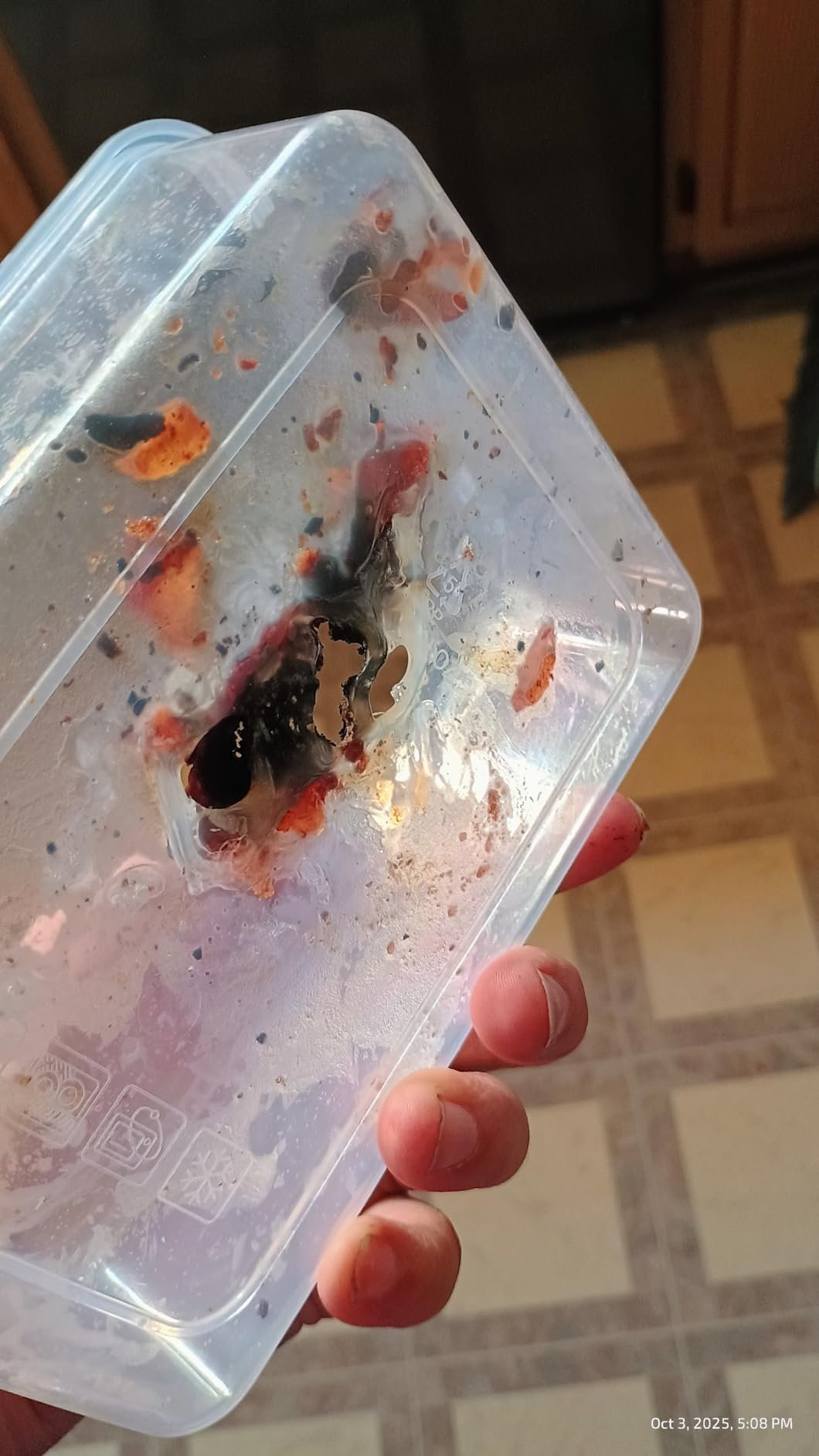 JSCARES 40 PCS Food Storage Containers with Lids Airtight (20 Lids &20 Containers) - Leakproof Meal-Prep Containers for Kitchen Storage Reusable Plastic Microwave/Dishwasher Safe with Labels & Pen photo review