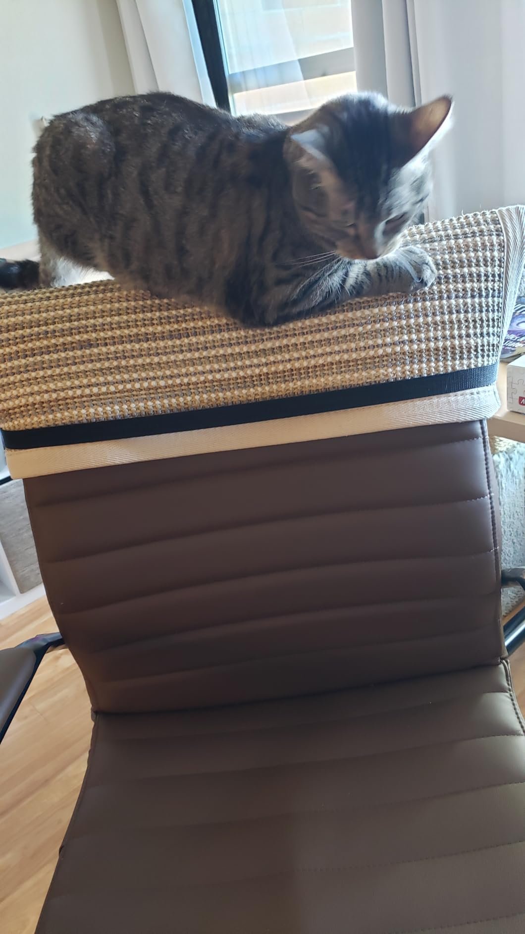 FUKUMARU Cat Scratcher Mat. 23.6 X 15.7 Inch Natural Sisal Cat Scratch Mats. Horizontal Cat Floor Scratching Pad Rug with Sticky Tapes. Protect Couch and Carpets photo review