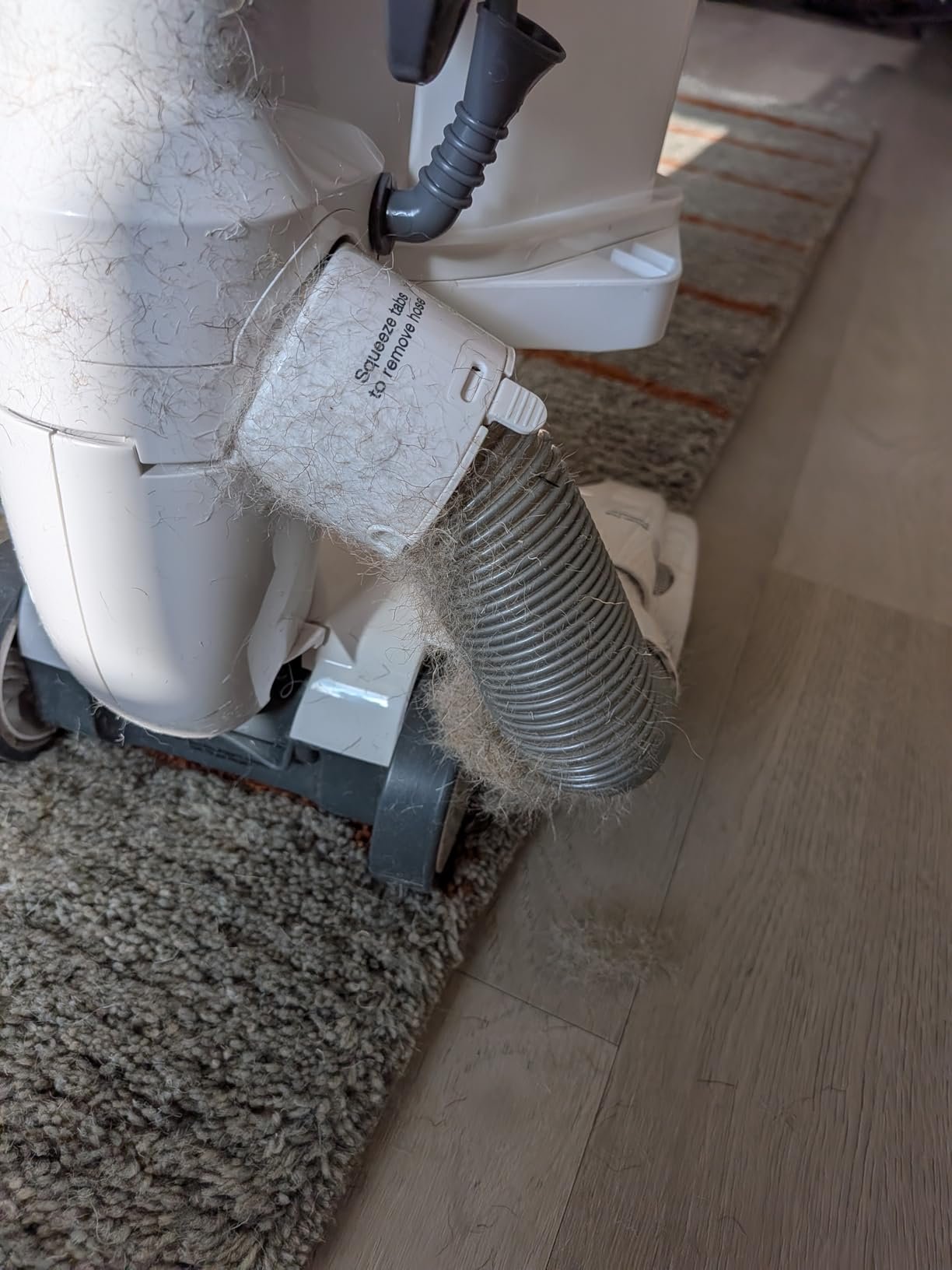 Shark Upright Vacuum. Navigator Lift-Away Deluxe with Large Dust Cup Capacity. HEPA Filter. Swivel Steering. Upholstery Tool & Crevice Tool. Blue. NV360 photo review