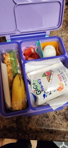Omie OmieBox Bento Box for Kids - Insulated Lunch Box with Leak Proof Food Jar - 3 Compartments. 2 Temperature Zones - (Meadow) photo review