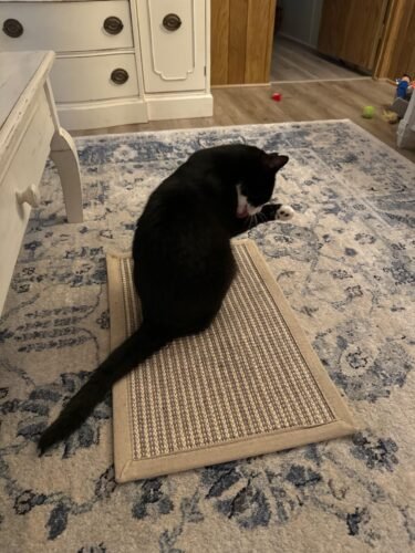 FUKUMARU Cat Scratcher Mat. 23.6 X 15.7 Inch Natural Sisal Cat Scratch Mats. Horizontal Cat Floor Scratching Pad Rug with Sticky Tapes. Protect Couch and Carpets photo review
