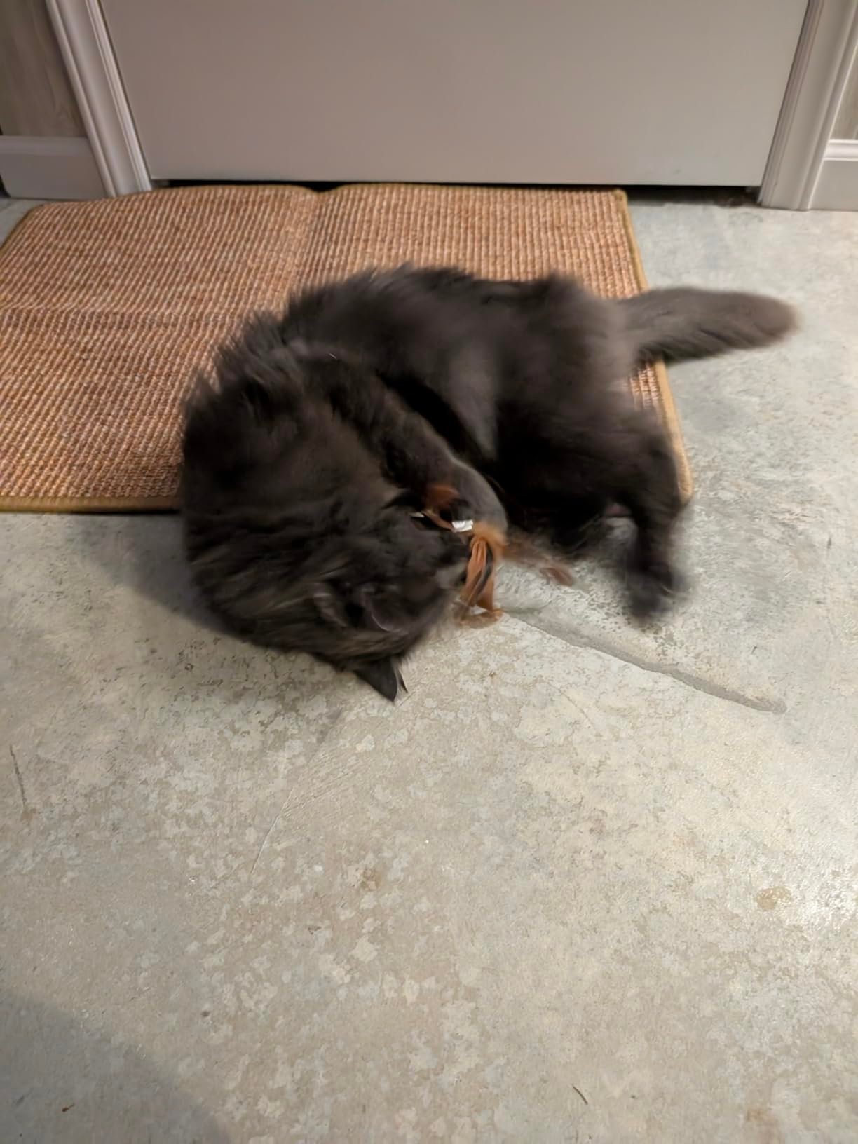 FUKUMARU Cat Scratcher Mat. 23.6 X 15.7 Inch Natural Sisal Cat Scratch Mats. Horizontal Cat Floor Scratching Pad Rug with Sticky Tapes. Protect Couch and Carpets photo review