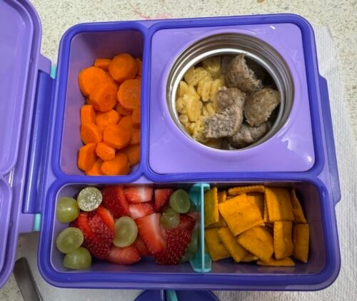 Omie OmieBox Bento Box for Kids - Insulated Lunch Box with Leak Proof Food Jar - 3 Compartments. 2 Temperature Zones - (Meadow) photo review