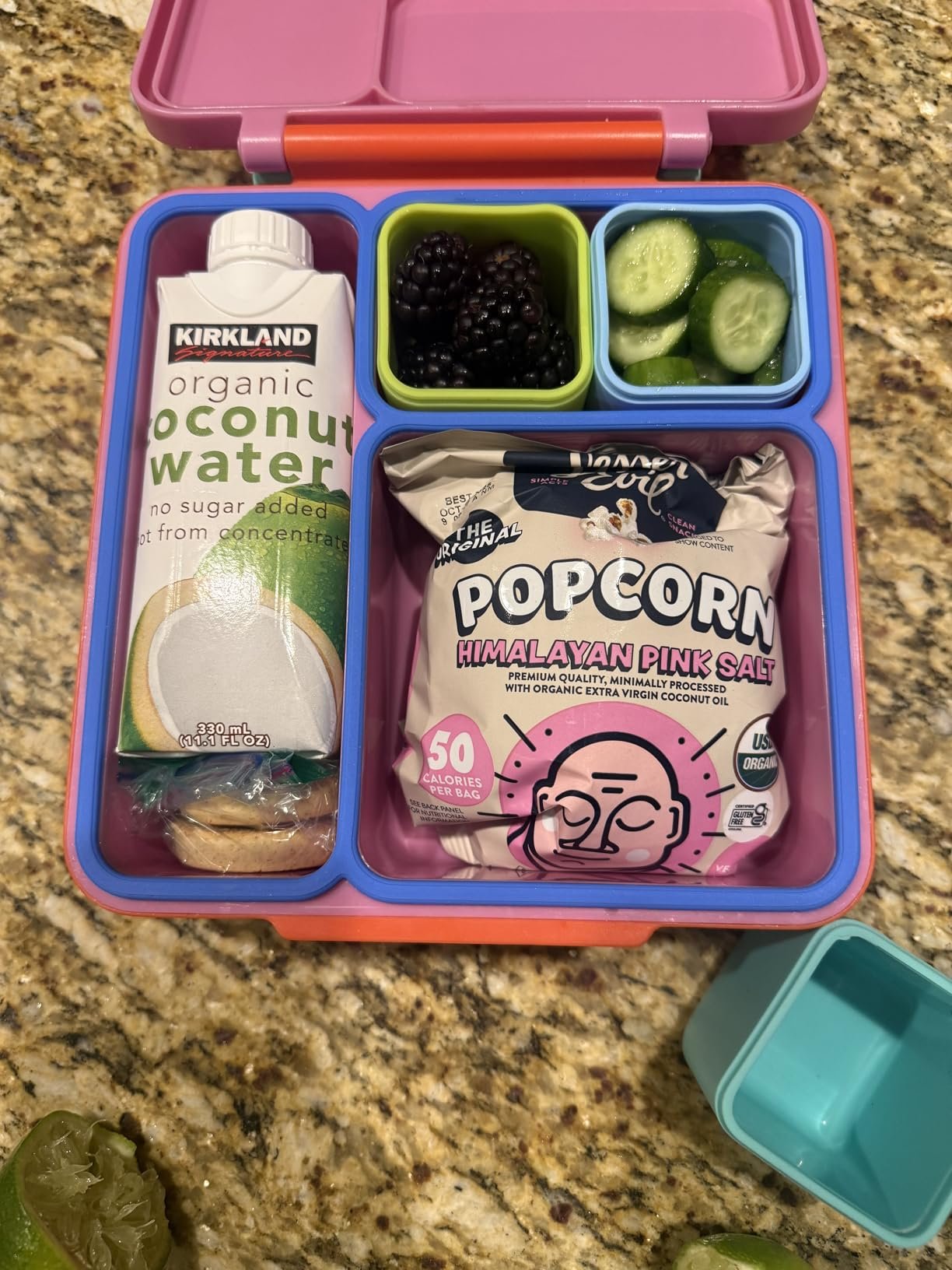 Omie OmieBox Bento Box for Kids - Insulated Lunch Box with Leak Proof Food Jar - 3 Compartments. 2 Temperature Zones - (Meadow) photo review