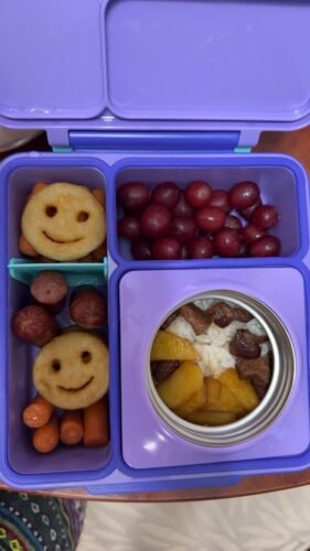 Omie OmieBox Bento Box for Kids - Insulated Lunch Box with Leak Proof Food Jar - 3 Compartments. 2 Temperature Zones - (Meadow) photo review