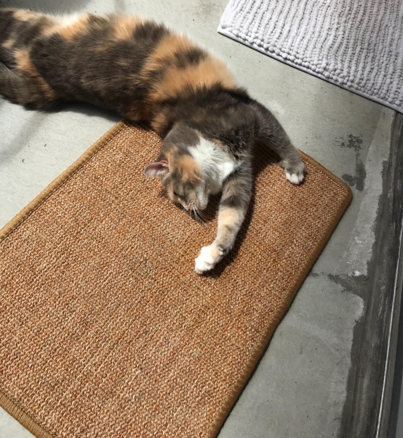 FUKUMARU Cat Scratcher Mat. 23.6 X 15.7 Inch Natural Sisal Cat Scratch Mats. Horizontal Cat Floor Scratching Pad Rug with Sticky Tapes. Protect Couch and Carpets photo review