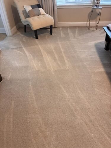 Shark Upright Vacuum. Navigator Lift-Away Deluxe with Large Dust Cup Capacity. HEPA Filter. Swivel Steering. Upholstery Tool & Crevice Tool. Blue. NV360 photo review