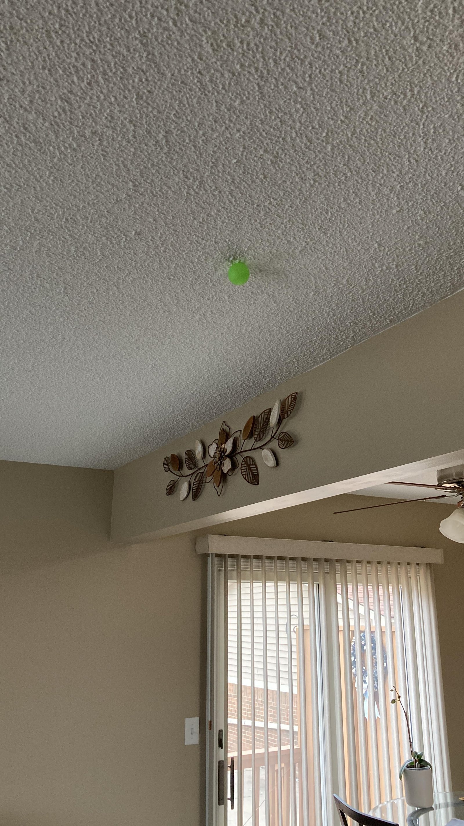 Glow in The Dark Sticky Balls That Stick to The Ceiling.Stress Balls for Kids and Adults.Glowing Sticky Balls.ASMR Cool Stuff for Teens.Elevated Balls.Ceiling Balls.Lumi Balls.Stocking Stuffers(4Pcs) photo review